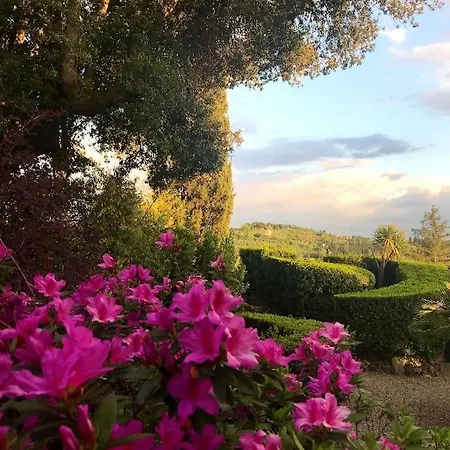 In Torre Di Antica Apartment *